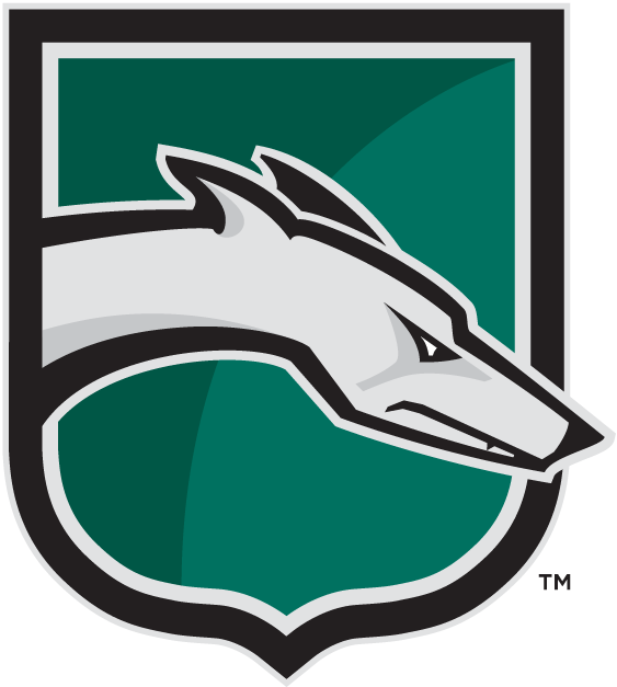 Loyola-Maryland Greyhounds 2002-Pres Alternate Logo diy iron on heat transfer